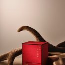 신탄진금강한의원 이미지