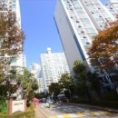 우성아파트(덕산동방면) | 까치마을대우냐 임광보성이냐! 분당 구축 아파트 비교