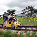 태안사 야영장 이미지