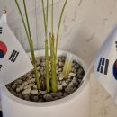 경기도 수원시 팔달구 수원천로255번길 이미지