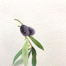 올리브나무학원 이미지