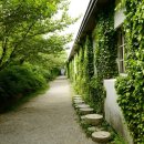 아미미술관 이미지