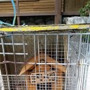 송화관광농원 이미지