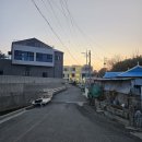 오션나비드풀빌라 - 17231 | 오션나비드풀빌라