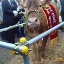 소나라축산 이미지