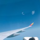 (주)다올커머스 이미지