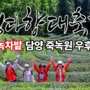 보성다향축제 5월 3일부터 , 보성녹차밭 대한다원, 죽녹원 우후죽순[雨後竹筍] 이미지