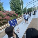 묵호김밥 이미지