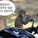 더푸드