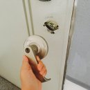 까치열쇠 이미지