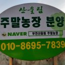 민영농장 이미지