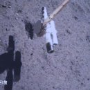 신화6호 이미지