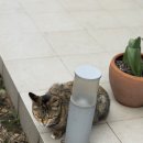 느릅낭집 이미지