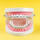 서울고운미소치과교정과치과의원 이미지