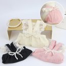 허니애견 이미지