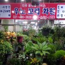 우노꼬레 이미지