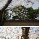 신길중앙주유소 이미지