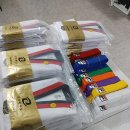 국가대표 호아 태권도 이미지