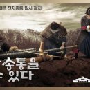 천자총통 이미지