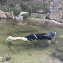 소백산 준 스테이 이미지