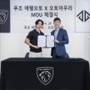 오토아우라 이미지