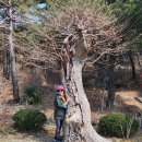 대평1구 | 당진 안국 사지 - 충남 당진 여행