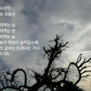 금수강산 이미지