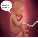 26년 태아령 천도재 이미지
