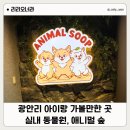애니멀마켓 | 부산 광안리 아이와 가볼만한곳: 실내동물원 애니멀숲 후기 & 민락공영주차장 주차 팁 (포켓몬 드론쇼...