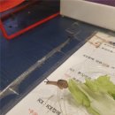 삼나무집펜션 | 지난 이야기 ~ 그리고 지금까지...