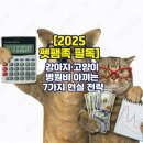 엔젤스펫(Angels pet) | 강아지·고양이 병원비 아끼는 7가지 현실 전략 [2025 펫팸족 필독]