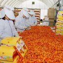 청도군-12 이미지