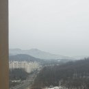 골드타워부동산공인중개사사무소 이미지