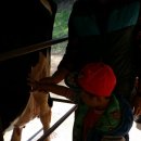 아람목장 이미지