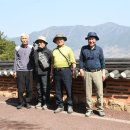 금천관광농원뒤 농로 | 경남 하동 평사리 부부소나무(안군산, 10.0m)- 동정호둘레길- 최참판댁- 한산사 탐방