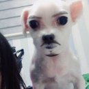 잘생김 카카오 검색결과