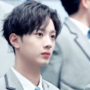 라이관린 카카오 검색결과