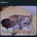 에구구 이미지