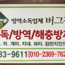바퀴벌레 방역업체 버그잡 이용 후기 – 멘붕의 아침, 그날 이후 평온해졌어요