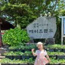 제주특별자치도장애인총연합회 | 제주🇰🇷7살 아이와 메이즈랜드 내 돈 내산 후기