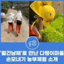 새참손칼국수 | 구독형 여행, &#39;월간남해&#39;로 만난 다랭이마을 손모내기 농부체험을 소개합니다^^