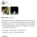 크리스탈웨딩 | 대구 호텔 인터불고 엑스코 웨딩 크리스탈볼룸홀 후기| 결혼식 여자사회자 수정
