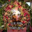 김포대로 | 김포 대형카페 카페드첼시, 크리스마스 트리 김포 카페 내돈내산 후기