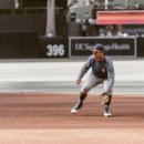 선글라스팜 이미지