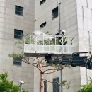 (주)나무들(1종)