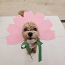 돌봄앤아카데미 네이버블로그