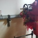 대한전광사옥 이미지