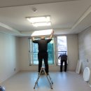 더펠리스 이미지