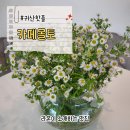 몰토커피 | [귀산식물카페]귀산핫플, 몰토카페
