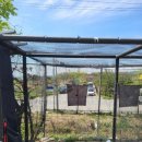 숏게임마스타 이미지